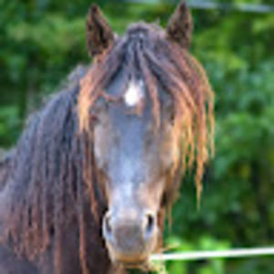 Meet your Posher, Marion